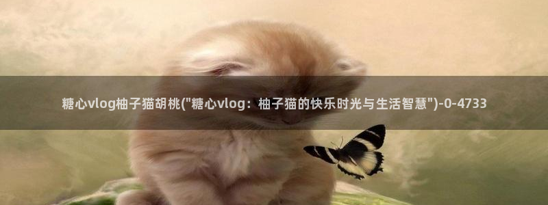 国产糖心vlog大全