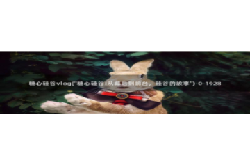 糖心vlog诗诗：糖心硅谷vlog(\