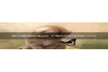 国产糖心vlog大全：糖心vlog柚子猫胡桃(\