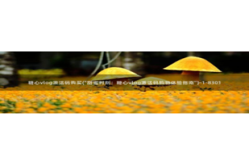 糖心vlog按摩：糖心vlog激活码购买(\