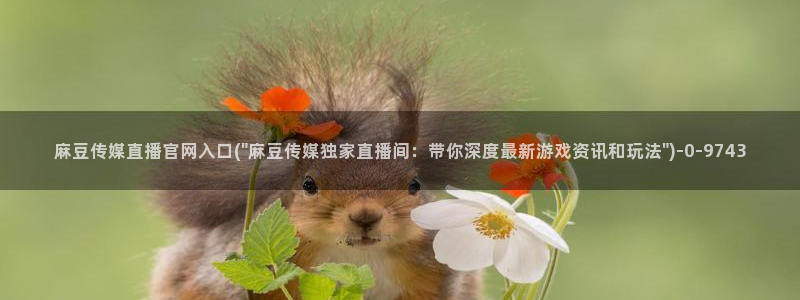 麻豆视频导航
