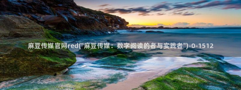麻豆视频内容维护