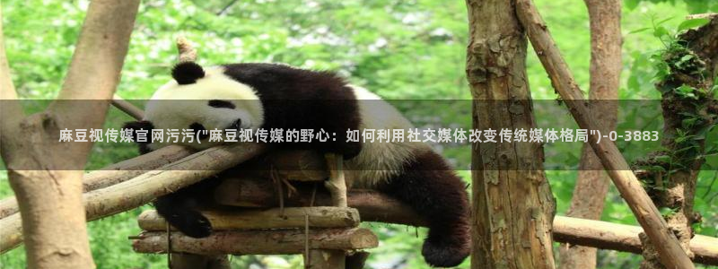 麻豆视频泛目录词
