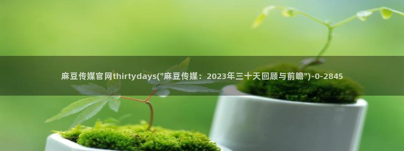 麻豆视频资源站文案