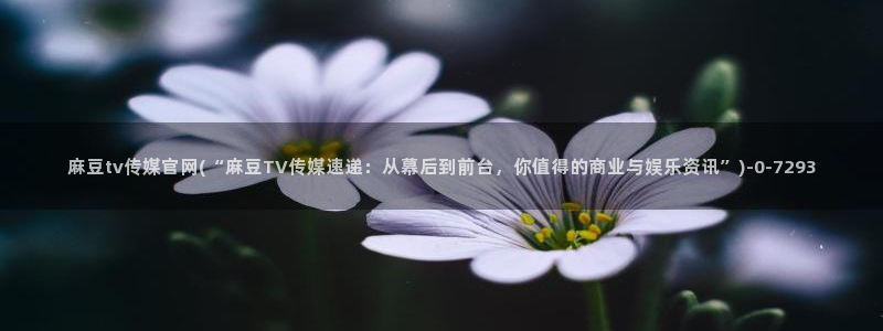 麻豆系列视频