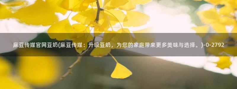 麻豆视频原创文案