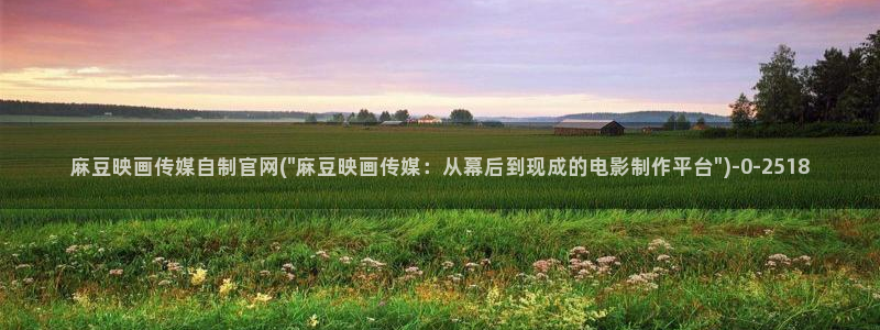 麻豆视频排名词