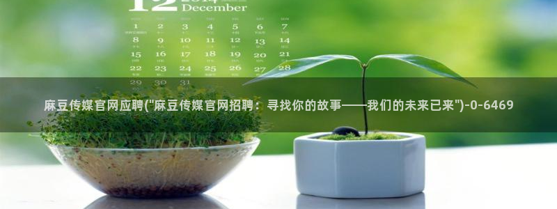 麻豆视频专题