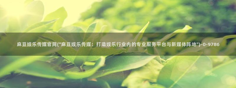 麻豆视频分类目录