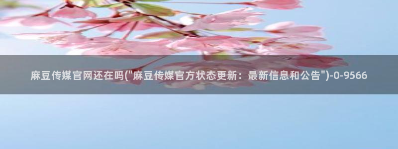 麻豆演员