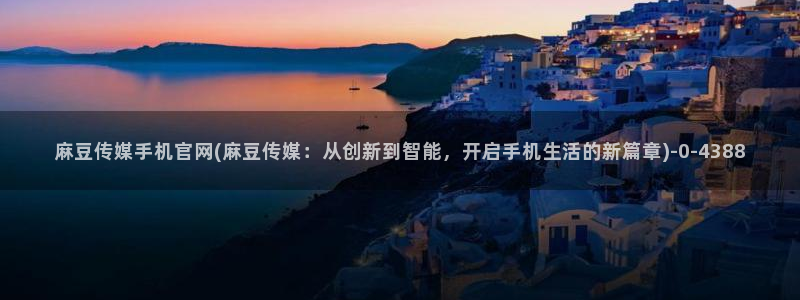 麻豆视频资料文案