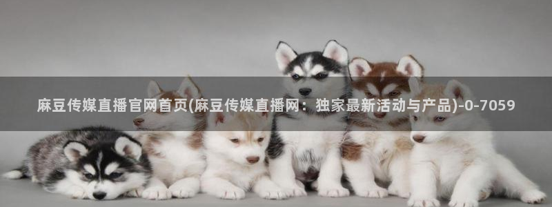 麻豆视频合作联系