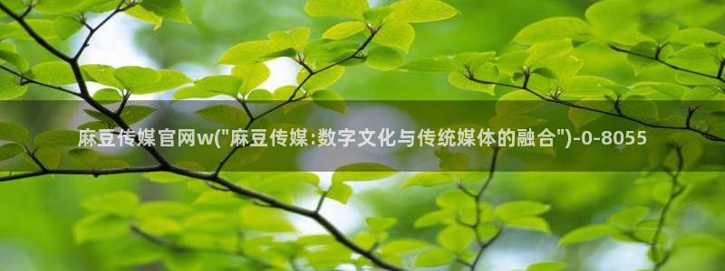 麻豆视频百度优化