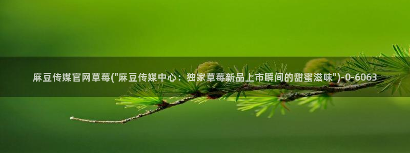 麻豆视频模板标签