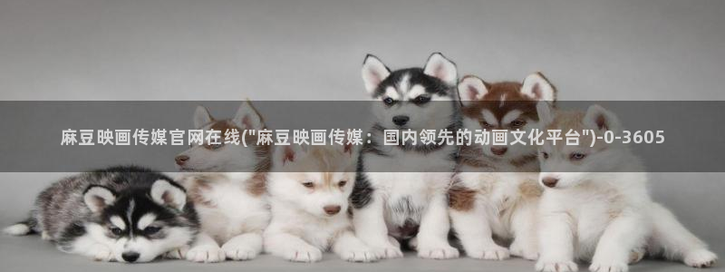 麻豆视频合作联系