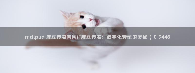 麻豆在线视频