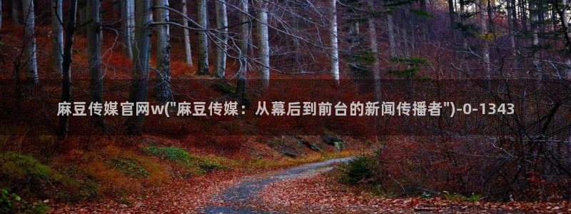 麻豆演员