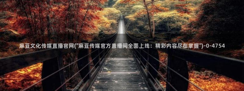 麻豆剧情视频