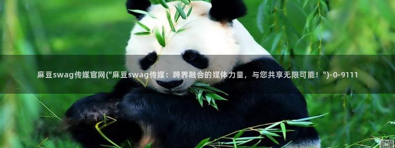 麻豆视频泛目录词