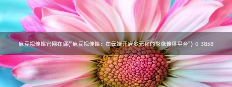 麻豆视频标签