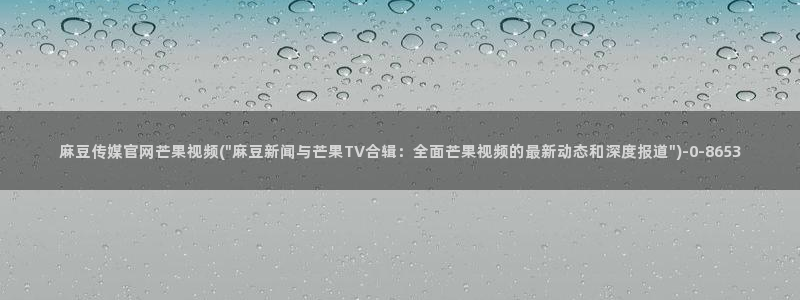 麻豆视频描述规则