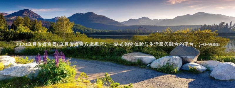 麻豆视频盘点