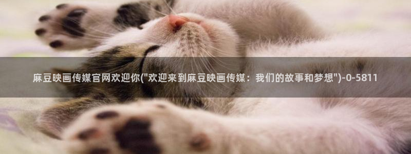 麻豆视频热门内容