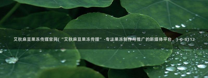 麻豆SEO关键词