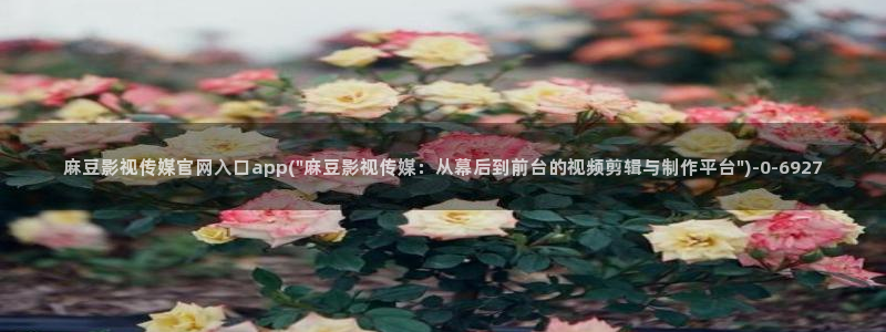 麻豆观看描述