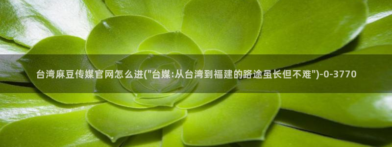 麻豆SEO模板