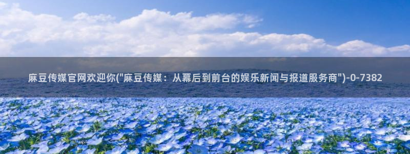 麻豆传媒新片