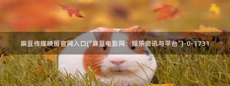 麻豆国产精选