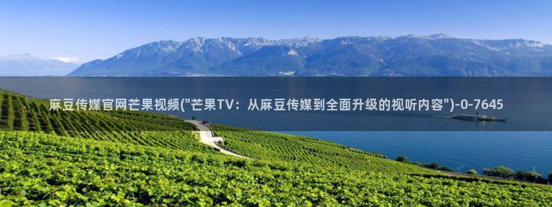 麻豆内容服务